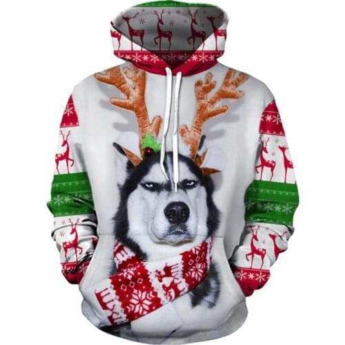 2021 Funny Hoodies 3d Printing Wolf Mens and Womens sweatshirts Fashion streetwear Hip Hop hoodie Long Sleeve sudaderas Coat
