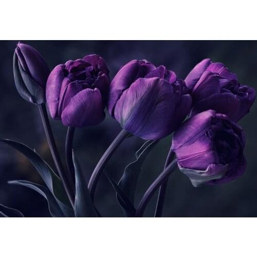 Free Shipping Deep Purple Flower Canvas Printing Oil Painting Wallpaper Art Decoration Art Decoration Artwork XJDP-104