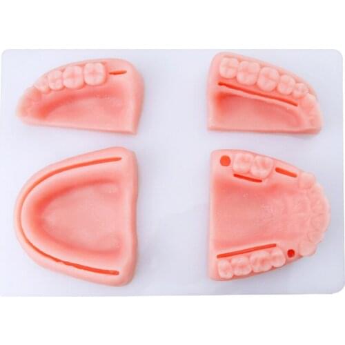 Dental Oral Gum Suture Training Model Tooth Orthodontic Medical Silicone Periodontitis Suture Dentist Tool Instrument
