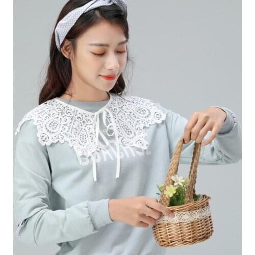 Lolita Decorative Fake Collar Lace Shawl Embroidery Mesh Dickey Necklace F3MD