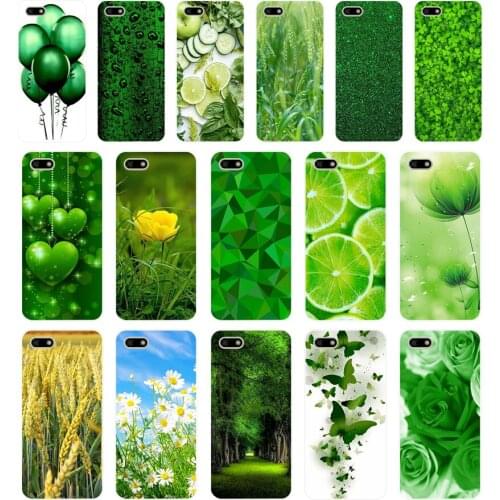 355FG Beautiful Emerald Green glitter Soft Silicone Tpu Cover Case for huawei Honor 7a 5.45 pro 5.7 7c 7x y5 2018 case