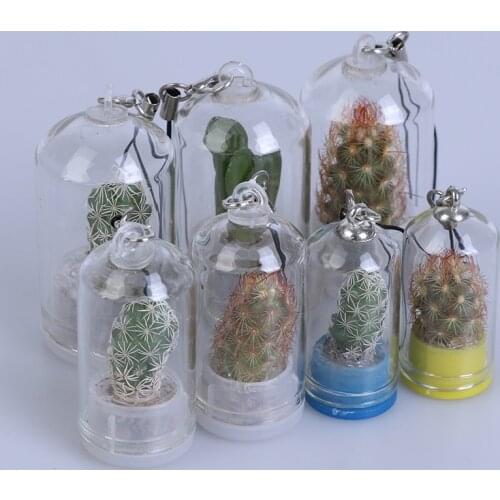 Cactus Miniature Succulent Cactus Terrarium Wearable Necklace Live DIY Succulent Plant Pendant Random Style Home Decor