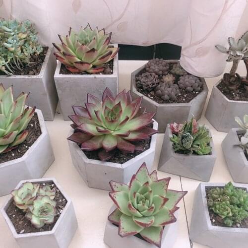 Concrete Planter Molds Geometric Simple Handmade Flower Pot Silicone Mold Cement Polygonal Pot Molds Concrete Bonsai Mold