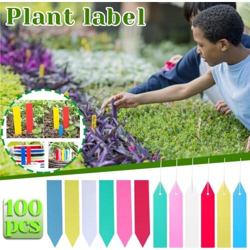 100PCS Garden Plant Labels Plastic Plant Tags Nursery Markers Flower Pots Seedling Sign Labels Tray Mark Tools Supplies #N