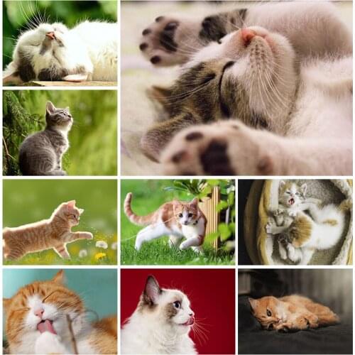 5D Cute Pet DIY Diamond Painting Cat Diamond Embroidery Cross Stitch Kit Mosaic Exquisite Living Room Wall Decoration Painting