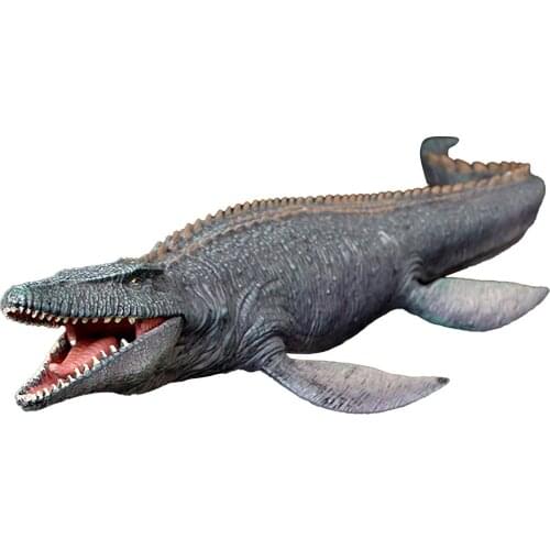 Пособия по биологии HAIMAITONG China At AliExpress