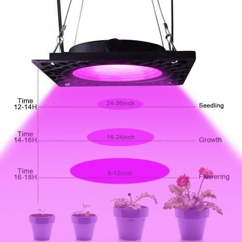 Maxziller LED Plant Lamps