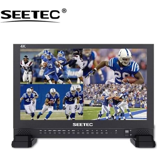 Seetec 4K173-9HSD-192 17.3 Inch Aluminum 1920x1080 Full HD 3G-SDI HDMI 4K Broadcast Monitor with AV YPbPr
