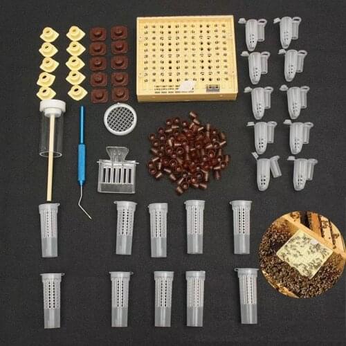 1 set beekeping tools queen rearing equipment breeding box bee cell cups plastic queen cage cupkit