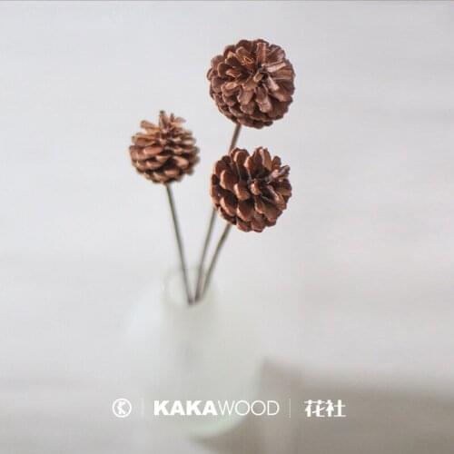 Natural Plant Fruit Flower Arrangement Dried Flower Dry Bouquet Nordic Style Decorative Dried Fruit Dry Bouquet