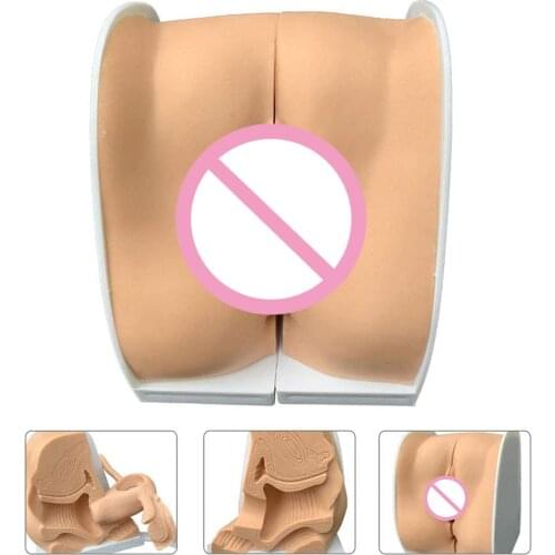 Female Contraception Guidance Model Gynecological Genitalia Cervix Uterus Vagina Ovary Gynecological Educational Teaching Model