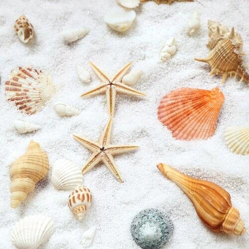 100g/Set Natural Sea Shell Matching Set 8-10 Varieties Types Ship Randomly Starfish Conch Background Photography Props Seashells