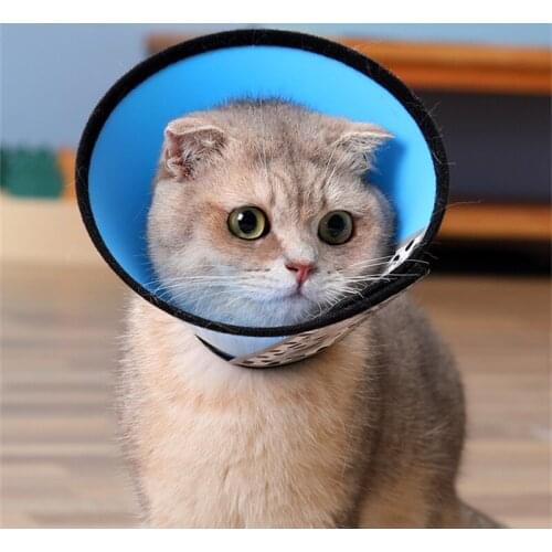 Pet Protection Products Candy Color Cat Elizabeth Circle Dog Headgear Collar Anti-bite Anti-scratch Anti-lick