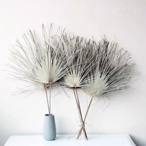 Palm Fan Leaf Dried Flower Palm Leaf Window Wedding Arch Arrangement Party Art New