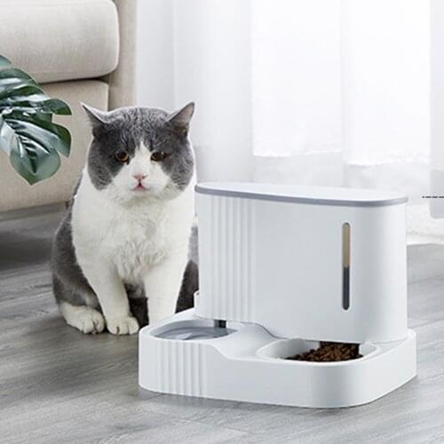 PETRAVEL Bowls For Dogs