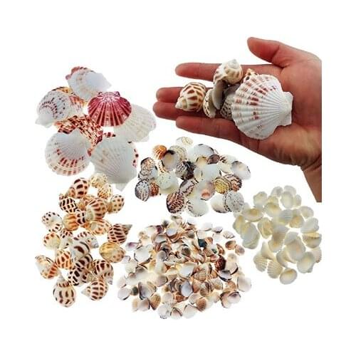 100 pcs Sea Shells Mixed Ocean Beach Seashells Various Sizes Natural Seashells for Fish Tank Home Decoration Beach Theme Party