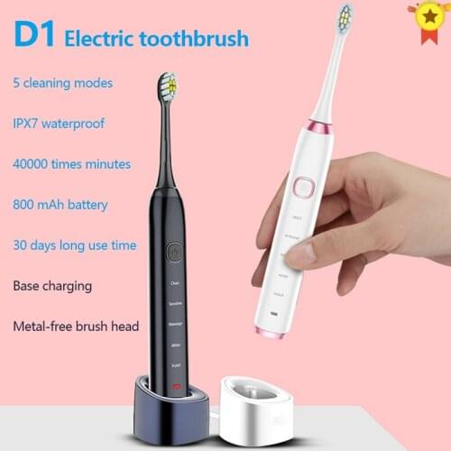 New Style D1 Sonic Adult Electric Toothbrush IPX7 Waterproof Base Charging 30 Days Long Standby Time with 2 Brush Head
