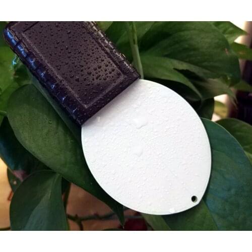 FWS-1 Leaf Surface Humidity Sensor, Foliar Moisture Sensor, 0-2V, 0-5V, 4-20mA Output