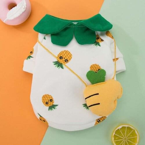 New autumn and winter sweater puppy dog three-dimensional pineapple backpack cute breathable cat cat cat pet clothes