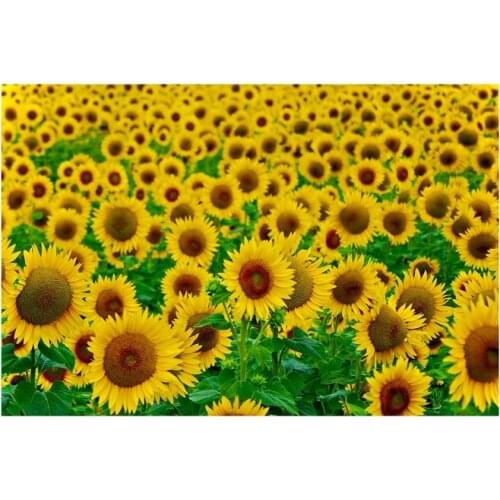150*100cm Photography Backdrop Sunflower Scenary Background for Photo Studio Photophone Photocall Props Birthday Home Decor