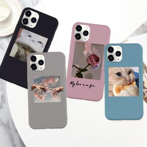 Phone Case for IPhone 7 8 Plus 11 12 Pro Max 6 6s XS Max X XR SE 2020 Cartoon Animal Pattern Candy Color Cat Soft Silcone Cover