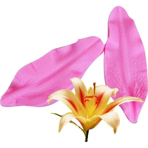 DIY Lily Petal Silicone Molds and Cutter Set,Fondant Cake Moulds for Sugarcraft, Petal Flower Cutter Tools, T1014