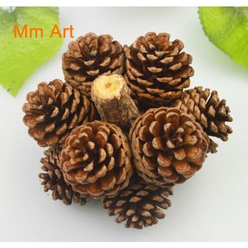 Shooting Props Home Decoration Nostalgic Desktop Decoration Natural Pine Cone