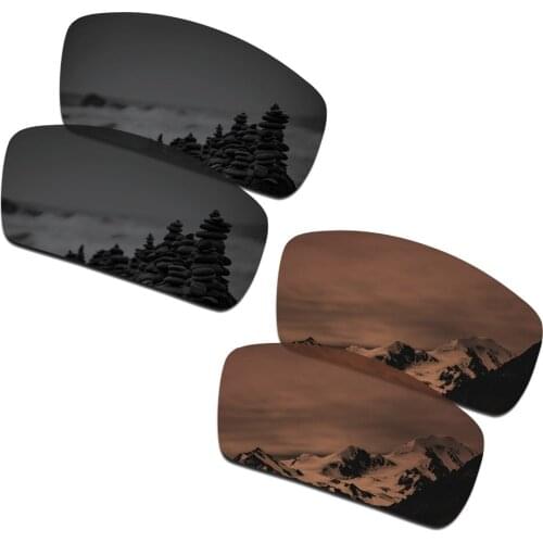 SmartVLT 2 Pairs Polarized Sunglasses Replacement Lenses for Oakley Canteen 2006 Stealth Black and Amber Brown