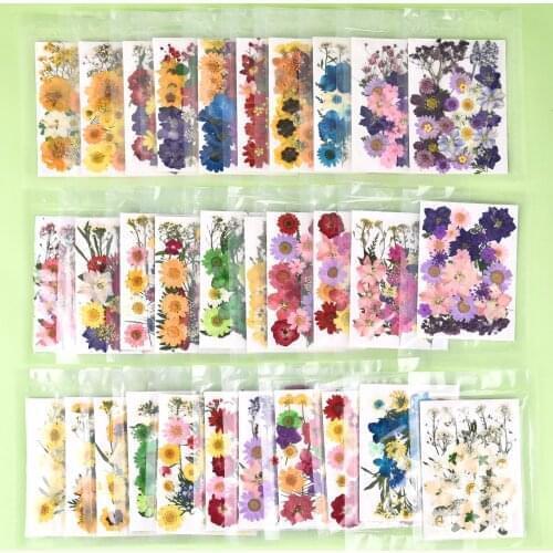 1 Bag Dried Flowers Dry Plants for Rsein Mold Fillings Epoxy Resin Pendant Necklace Jewelry Making Craft DIY Nail Art Decoration