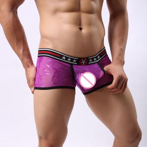 Sexy Men See Through Lace Mesh Underwear Boxer Transparent Erotic Lingerie Underwear Hollow Openable Panties Gay Wear FX1013