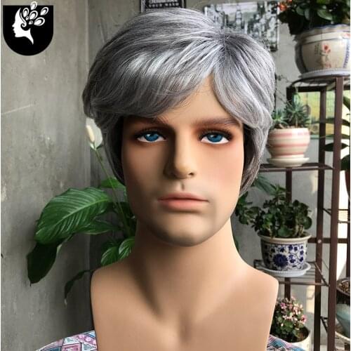 YOUR BEAUTY HAIR Short Silver Gray Wig Mens Short Synthetic Straight Hair White People Wig For Daily Use
