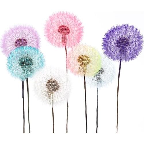 Dandelion Dried Flowers Immortal Flower Specimens DIY Resin Epoxy Flower Dried Dandelion Flowers Jewelry Tools Accessories