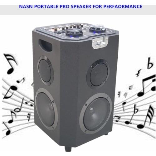 Pro Moveable speaker powered by AC, DC and battery for public performance