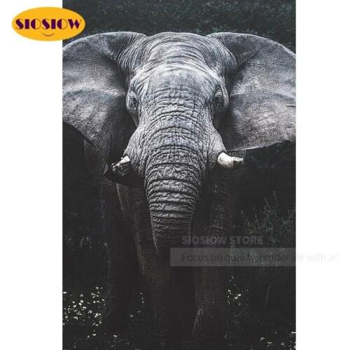 SIOSIOW 5D DIY Diamond Painting Elephant Cross Stitch Full Set Drill Square 3d Daimond Mosaic Embroidery Animals Decor Home Room