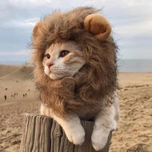 Cat Costume Cat Accessories Cat Wig Accessories Headgear Funny Headdress Helmet Hat Decoration Pet Funny Hair Pet Accessories