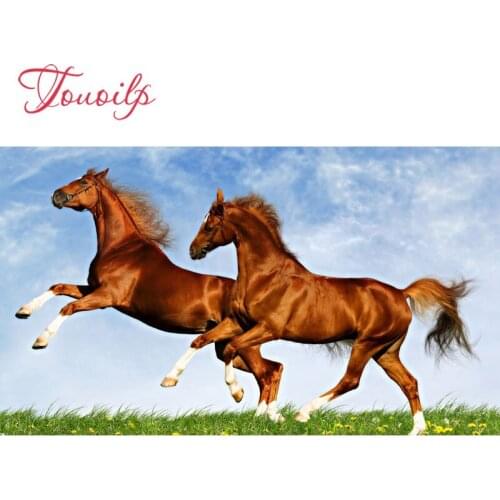 TOUOILP grassland 5D Diamond Painting Full Square/Round Drill"Prairie horse"3D Embroidery Cross Stitch Mosaic Home Decor