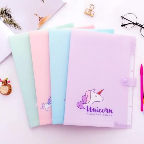 ZYZSGJDP Plastic Folders