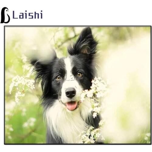 Border collie diamond painting Cross Stitch wall painting diamond embroidery dog animal,Diamond Mosaic,Needlework,Crafts decor