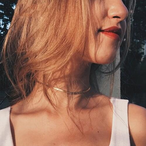 Stainless Steel Necklace for Women Snake Chain Pendant on Neck Jewelry