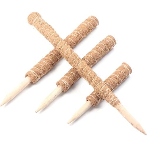 Home Support Coir Totem Pole Climbing Plants Stick Office Extension Coconut Fiber Creeper Trelli Frame Maintain Moisture Balcony