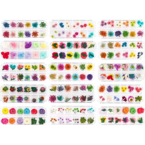 12 Color DIY Dried Flowers Resin Mold Fillings UV Expoxy Dry Flower for Nail Art Pressed Flowers for Scrapbooking Phone Case