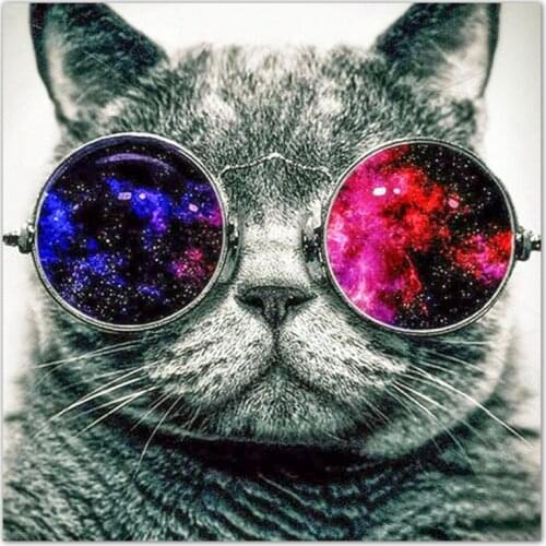 5D DIY Diamond Embroidery Cool Cat Diamond Painting Full Square Diamond Mosaic Pictures Of Rhinestones Home Decor