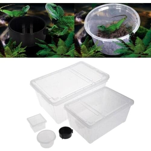 Transparent Plastic Box Insect Reptile Transport Breeding Live Food Feeding Box for Lizards Tortoise Spider Beetle Insect House