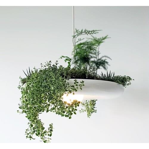 ECO terrarium lighting natural plants Potted Plant Pendant Light Lamp Shade Modern Light Flower Pots Growing Herbs or Succulent