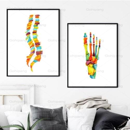 Human Anatomy Poster and Print Watercolor Bones of The Foot Poster Spine Column Canvas Painting Hd Wall Art for Room Home Decor