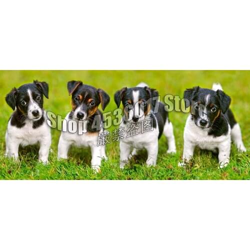 Dogs Baby Animal 5D Diy Diamond Painting Cross Stitch Diamond Embroidery Jack Russell Terrier Puppies Hobbies Crafts Mosaic Kits