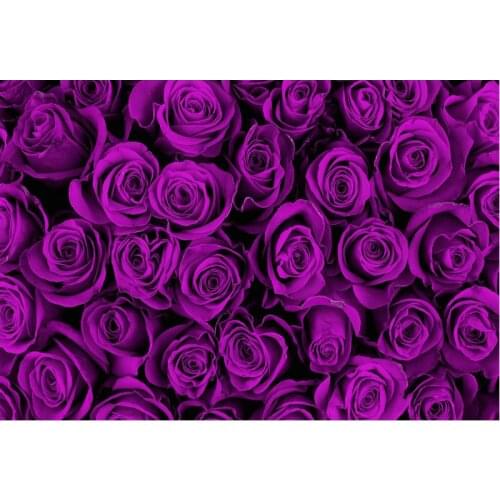 Flower Backdrop Beauty Purple Roses Party Photography Background Holiday Celebration Photo Booth Studio Decor
