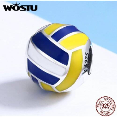 WOSTU Volleyballs