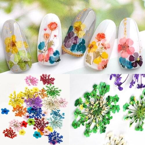 12 Colors Dried Flowers Nail Art Decorations 3d Natural Daisy Gypsophila Preserved Dry Flower DIY Stickers Manicure Accessories