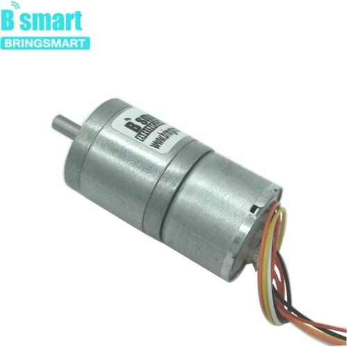 Bringsmart DC Brushless Gear Motor 12 24V Low Speed Reduction Motor Adjustable Speed Controlled Hair Curler JGA25-2418